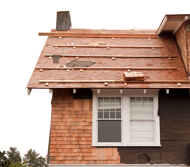 Best Historical Building Siding Restoration  in Beach Park, IL